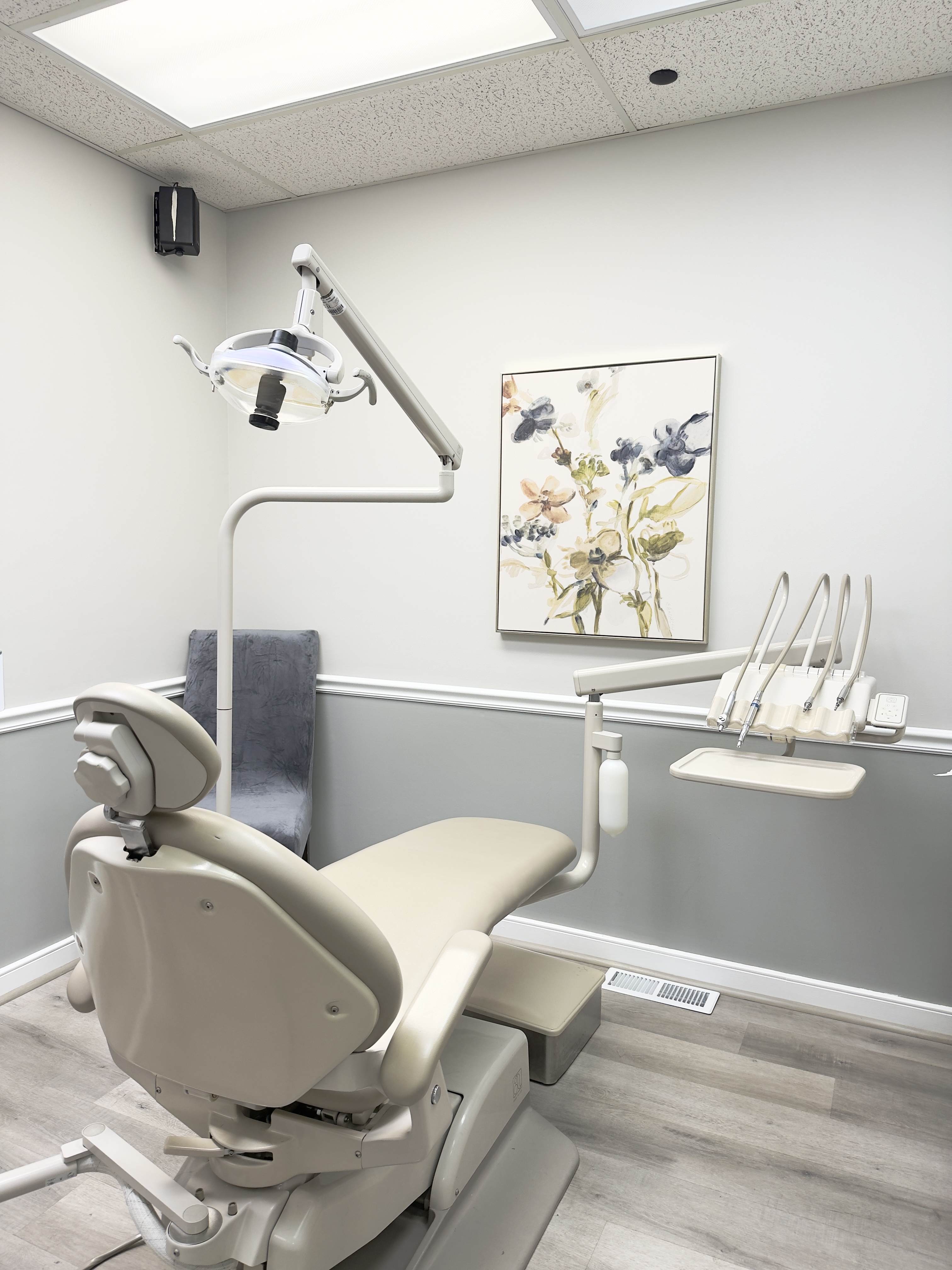 Professional dental care environment